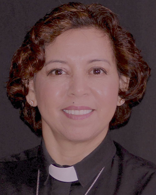 Pr. Violetav3